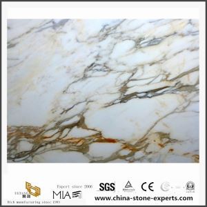 Calacatta Borghini Dolomiet Marmer Decoratieve Steen Voor Badkamertafels